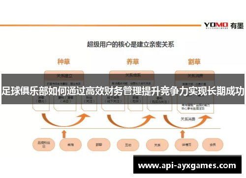 足球俱乐部如何通过高效财务管理提升竞争力实现长期成功