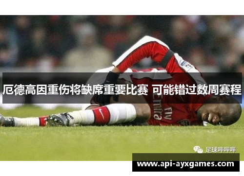 厄德高因重伤将缺席重要比赛 可能错过数周赛程